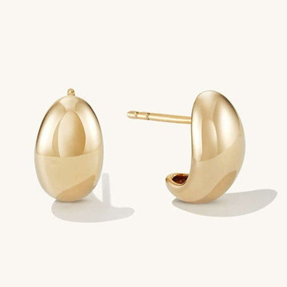 Lissandra wedge-shaped earrings