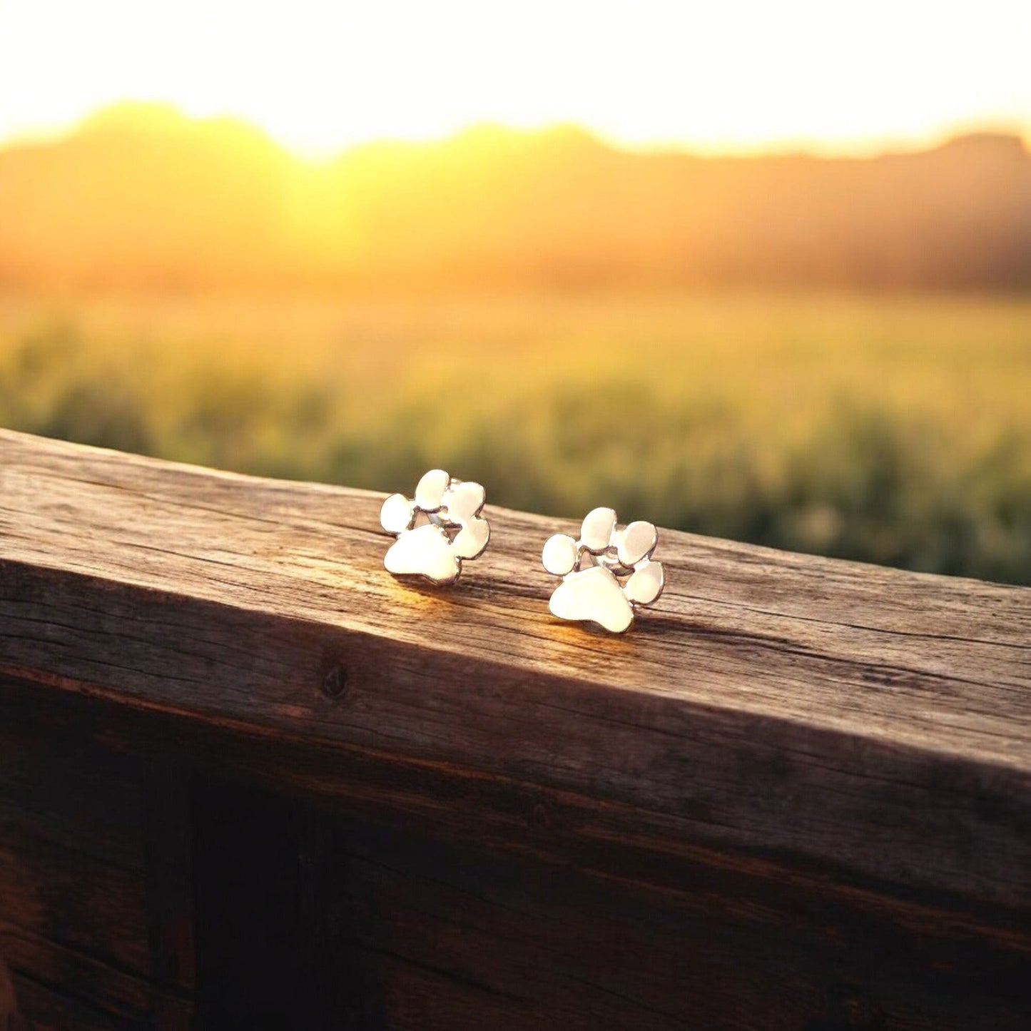 Hypoallergenic Paw Earrings – Stainless Steel